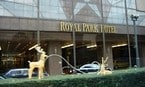 東京Royal Park Hotel Tokyo
